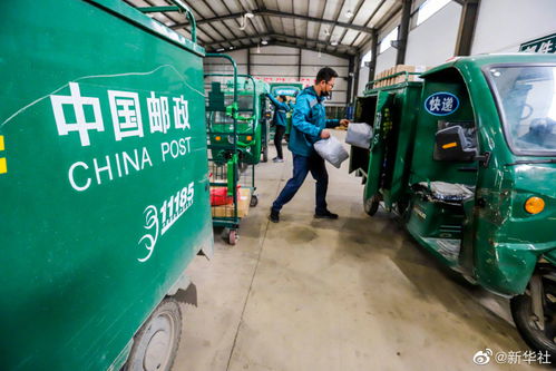 快递业务量突破400亿件，电信基础设施成重要支撑